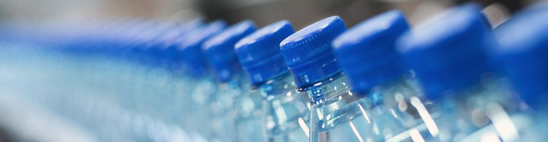 海洋之神集团（LSI）