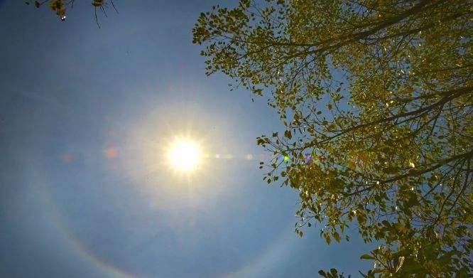 海洋之神·hy590(中国)最新官方网站