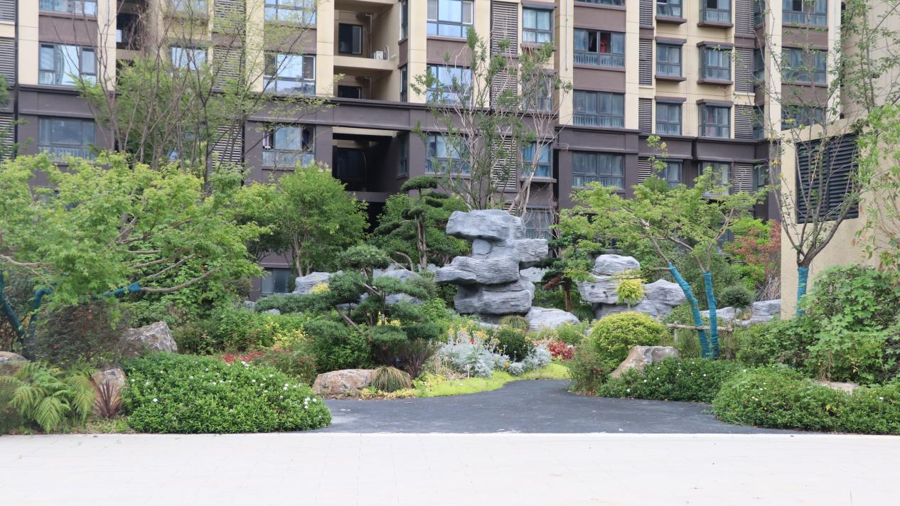 “生涯惬意，服务中意” 葛塘西片区地块保险房交付回访业主这样说