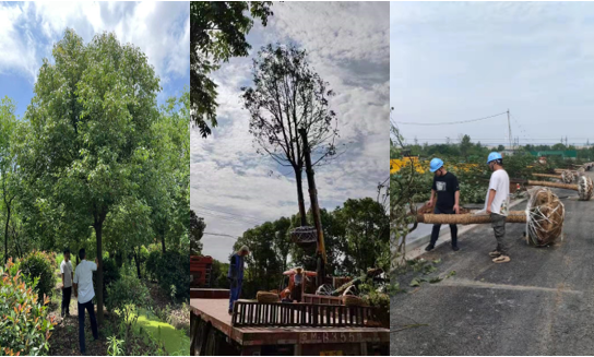 落成！盘城2号地块配套路路秀出新高度